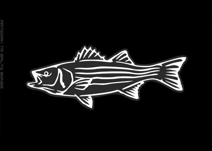 Striped Bass Plotted Style Profile Decal – Salty Bones