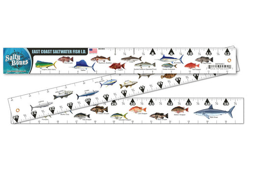 Georgia Saltwater Fishing Regulation Ruler Fish Decal