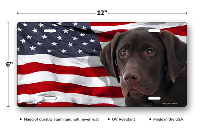 Labrador (Chocolate) on American Flag License Plate