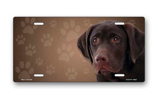 Chocolate Lab on Paw Prints License Plate