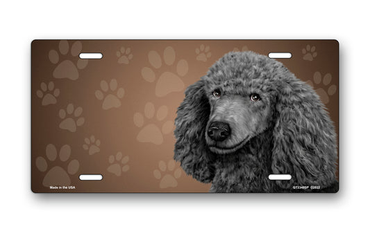 Grey Poodle on Paw Prints License Plate