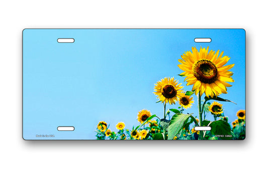 Sunflowers on Blue Offset License Plate