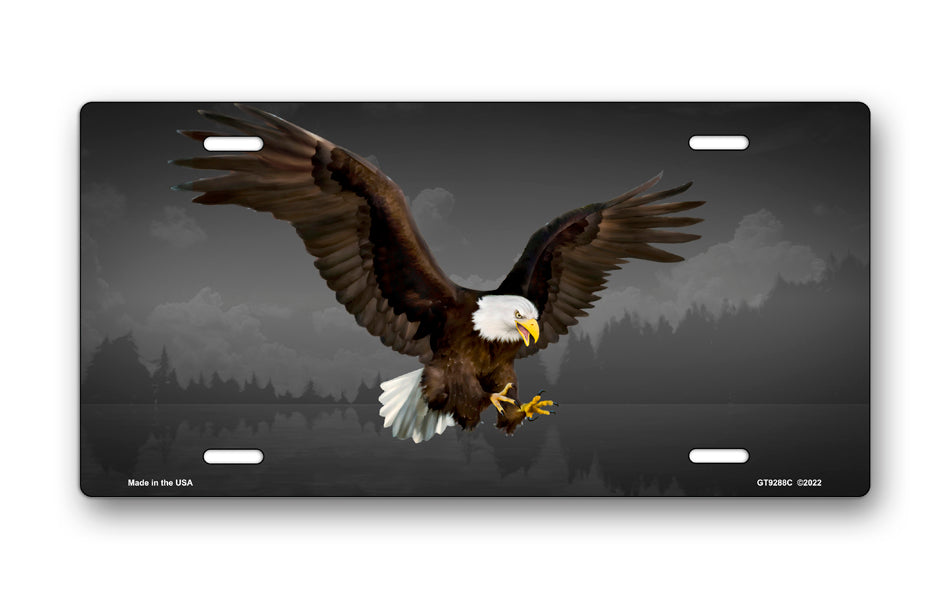 Bald Eagle on Gray License Plate