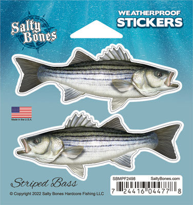 Striped Bass Mini Profile Fish Decals